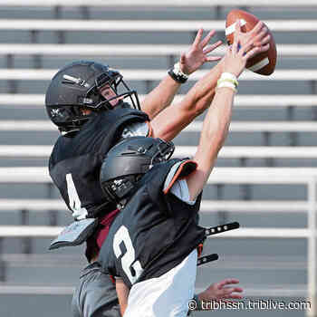 2022 Trib HSSN Preseason Football All-Star Team: Upper St. Clair's Aidan Besselman - TribLIVE.com