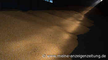 Ukraine-Krieg: Russland blockiert Häfen – Export über Ungarn möglich