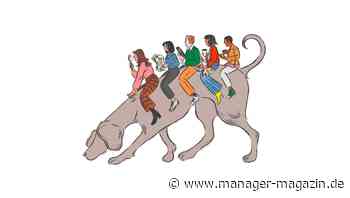 Fallstudie: Wie lässt sich Korruption verhindern?