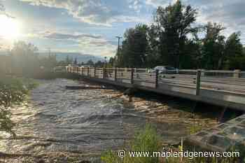 Creek still too high to search for missing Kelowna woman – Maple Ridge News - Maple Ridge News