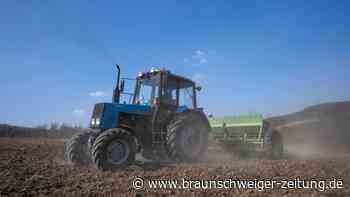 Ukraine-Krieg: Streit um Blockade von Getreideausfuhr