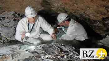 Wie das deutsche Film-Erbe aus dem Salz bei Grasleben kam