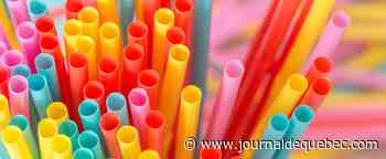 Ottawa bannit officiellement les sacs et pailles de plastique