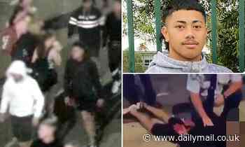 Sydney Easter Show stabbing where boy was killed in front of hundreds of people is STILL unsolved - Daily Mail