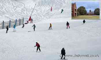 Thredbo: Sydney teenager is killed while skiing in Thredbo after losing control and hitting a tree - Daily Mail
