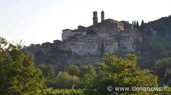 A Torrita di Siena e Sinalunga si ricorda il botanico Biagio Bartalini a 200 anni dalla scomparsa - Siena News - Siena News