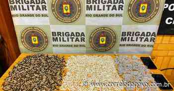 Brigada Militar apreende mais de três mil porções de drogas em Cachoeirinha - Correio do Povo