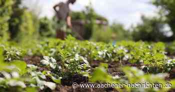 Erhöhte Schadstoffwerte: Stadt Aachen nimmt weitere Kleingartenanlagen unter die Lupe - Aachener Nachrichten