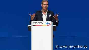 Magazine mit rechtsextremen Inhalten auf AfD-Parteitag verteilt? Co-Vorsitzende Weidel sprachlos