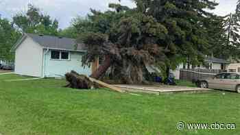 'Gustnado' knocks out power in parts of Saskatchewan