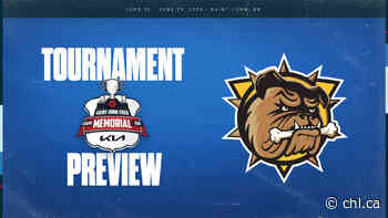 2022 Memorial Cup presented by Kia tournament preview: Hamilton Bulldogs - Canadian Hockey League