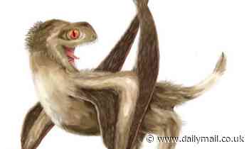 The 'Great Dying' that happened 252 million years ago was followed by 'a dramatic rebirth of life'