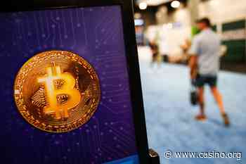Cryptocurrency Market Plunge Means Uncertainly for Casinos, Sportsbooks - Casino.Org News