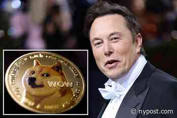 Elon Musk still buying dogecoin despite cryptocurrency crash - New York Post