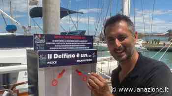 Porto di Pisa, laboratorio di sostenibilità: "il delfino è un pesce o un mammifero"? - LA NAZIONE