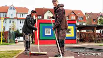 Kreis Gotha: Vier Schulen nehmen beim Freiwilligentag teil - Thüringische Landeszeitung