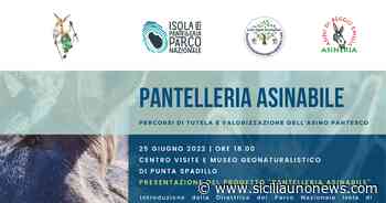 Pantelleria Asinabile - evento sabato 25 e domenica 26 giugno - http://www.siciliaunonews.com