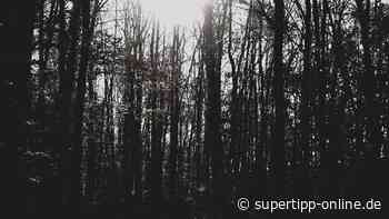 Amtliche Warnung: Gewitter und Sturmböen im Kreis Mettmann - Super Tipp