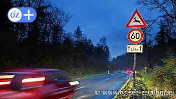 Wildwechsel: Viele Tote Tiere auf B105 zwischen Greifswald und Stralsund - Ostsee Zeitung