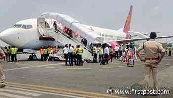 Explained: What are bird strikes and how they affect aviation safety? - Firstpost