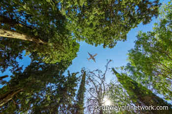 Aviation stakeholders propose cabin changes to improve sustainability - - Runway Girl Network