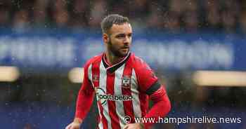 Ex Southampton midfielder's verdict on £15m star Adam Armstrong amid Middlesbrough loan link - Hampshire Live