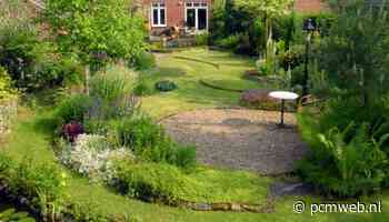 Met deze gadgets is jouw slimme tuin zomerklaar | Domotica - Personal Computer Magazine