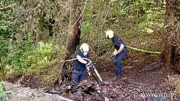 Feuer in Siegen: Waldbrand auf dem Haardter Berg - WP News