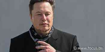 Tesla-Chef Musk prophezeit „massive rote Welle“ von republikanischen Siegen - FOCUS Online