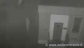 Preso in Olanda l'evaso di Capodanno dal carcere di Vercelli - WelfareNetwork