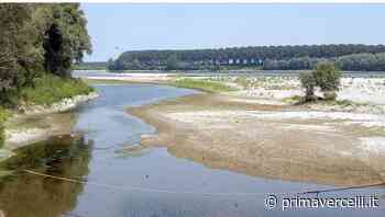 Siccità, Coldiretti Vercelli-Biella: garantire produzione alimentare e creare bacini di scorta dell’acqua - Prima Vercelli