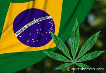 Medical Cultivation OK'd in Brazil - Canna Law Blog™ - Harris Bricken