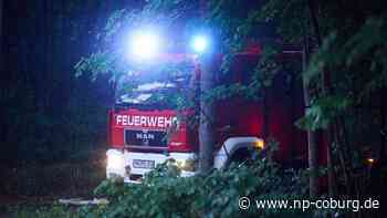 Naturkatastrophen - Waldbrände in Brandenburg nach Regen weitgehend gelöscht - Neue Presse Coburg