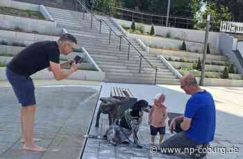 Neuer Marktplatz - Neustadter Hundeskulptur braucht einen Namen - Neue Presse Coburg