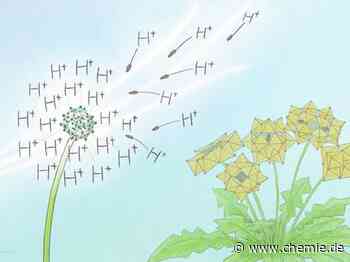 Zufällig seltene Clusterverbindung entdeckt