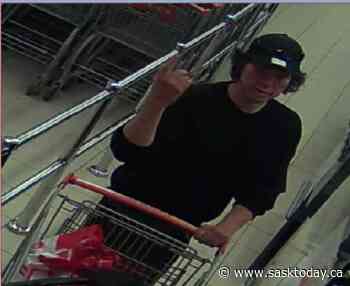 Yorkton RCMP request assistance in identifying subject - SaskToday.ca