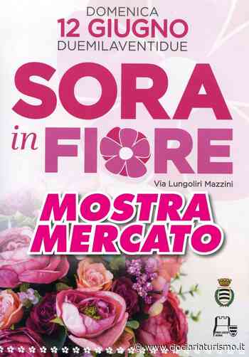 Mostra Mercato Sora in Fiore - Benvenuti in Ciociaria in provincia di Frosinone - Ciociaria Turismo