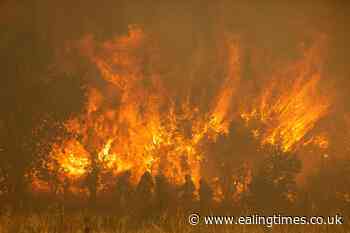 Firefighters battle wildfires as Europe is hit by heatwave - Ealing Times