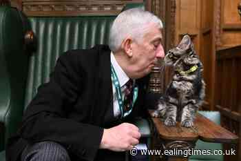 Sir Lindsay Hoyle names new kitten after Clement Attlee - Ealing Times