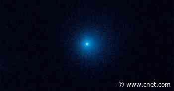 How to See the Giant Comet Flying by Earth Soon     - CNET