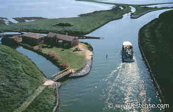 Il Mare nel fiume: il convegno dedicato alla risalita del cuneo salino | estense.com Ferrara - Estense.com