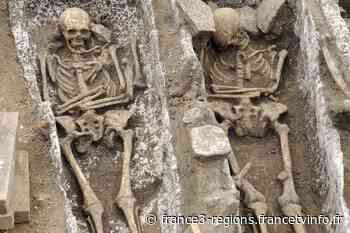 Seine-Saint-Denis : Une nécropole en plein cœur de Noisy-le-Grand ouverte au public lors des Journées Européennes de l'Archéologie - France 3 Régions