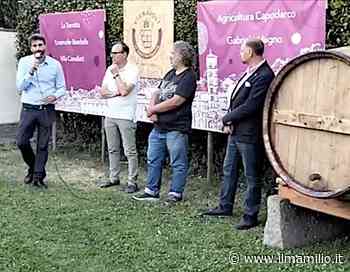 Di Bernardo: "La nuova Fiera di Grottaferrata passa anche per il settore del vino" - ilmamilio.it - L'informazione dei Castelli romani