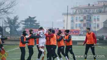 NOTIZIA TC - La Gelbison punta il difensore Mesisca del Pineto - Tutto Lega Pro