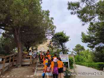 Pineto. Gli studenti dell' IC "Giovanni XXIII" alla scoperta dell'Area Marina Protetta/FOTO - Wallnews24