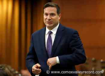 ‘Deepfakes’ and disinformation should fall under online hate law: advisory panel - Comox Valley Record