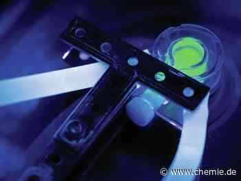 Mit Ultraschall Lichtemission anregen und Temperatur messen