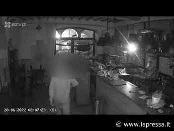 Modena, colpo nel locale: le telecamere filmano il ladro 'acrobata' - La Pressa
