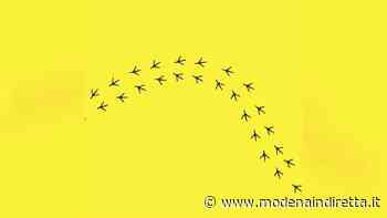 Ecco le tracce del canarino, primi indizi sul nuovo Modena calcio. VIDEO - modenaindiretta.it