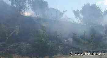 A Bacoli un’ordinanza contro gli incendi boschivi, multe per i trasgressori - ilmattino.it